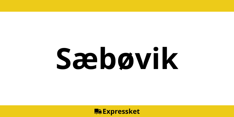 Kontakt DHL Express Sæbøvik